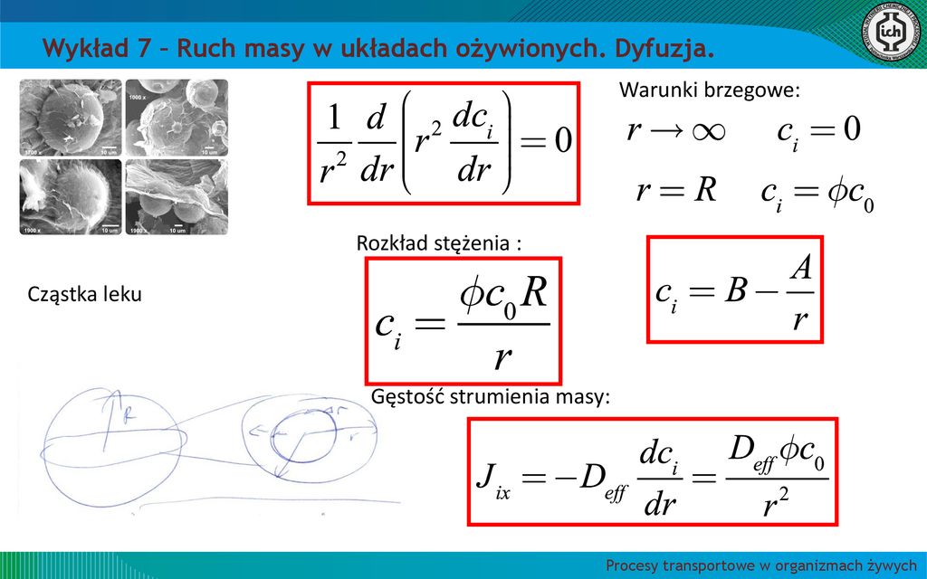 Ruch masy w układach ożywionych Dyfuzyjny transport masy ppt pobierz